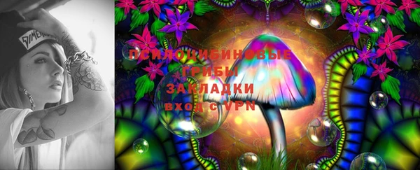 гидропоника Аркадак