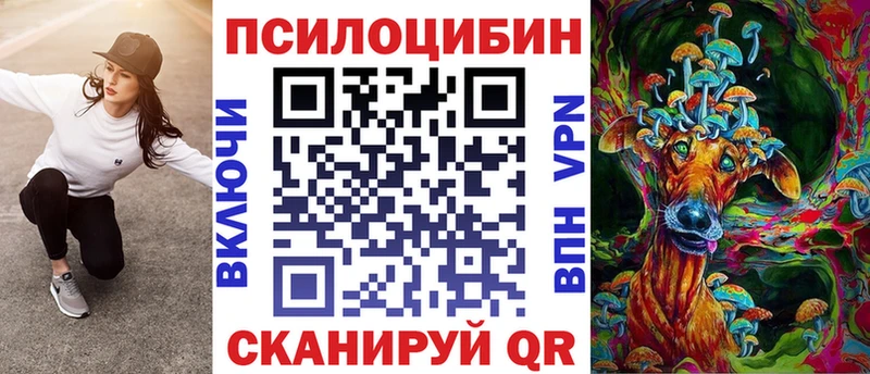 Купить где  Минусинск  Псилоцибиновые грибы Psilocybine cubensis 